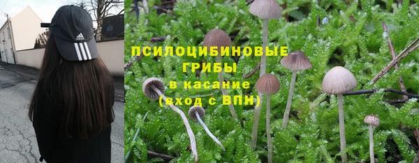 mix Армянск