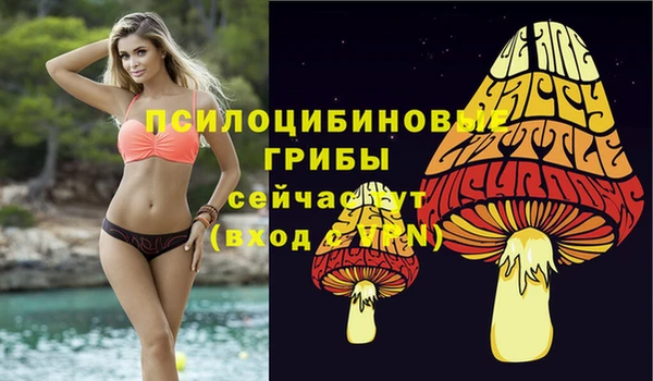 стафф Аркадак