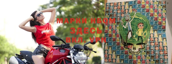 стафф Аркадак