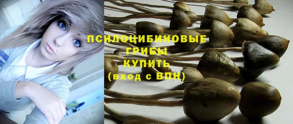 стафф Аркадак