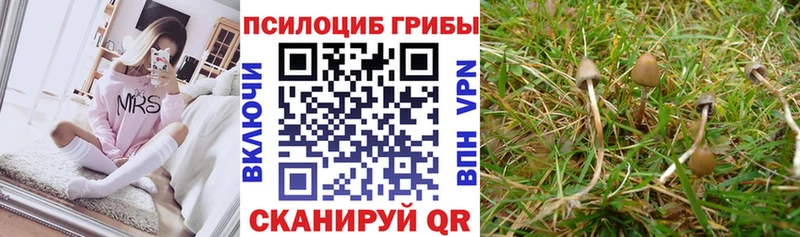 Галлюциногенные грибы мицелий  Острогожск 